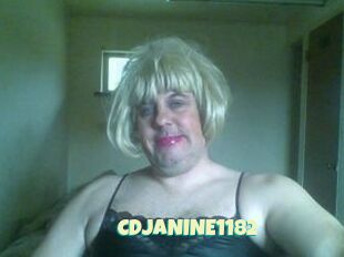 CDJANINE1182