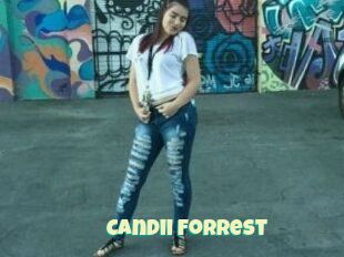 Candii_Forrest