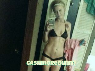 Cashmerebunny