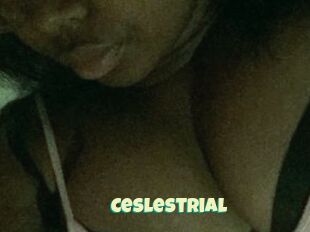 Ceslestrial