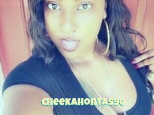 CheekaHontas90