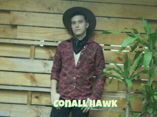 Conall_Hawk