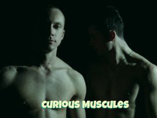Curious_Muscules