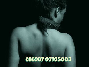 C86987-07105003