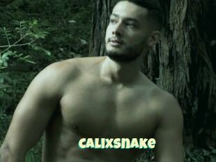 Calixsnake