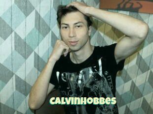 Calvinhobbes