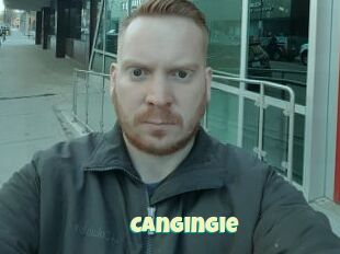 Cangingie