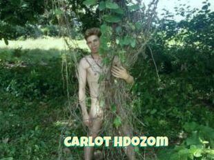 Carlot_hdozom