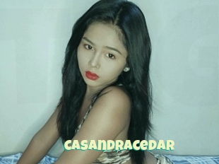 Casandracedar