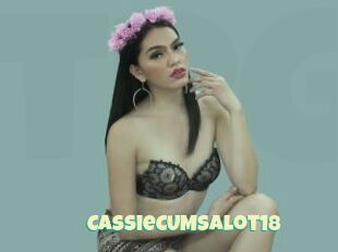 CassieCUMSalot18