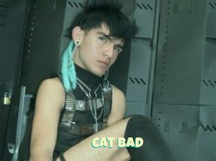 Cat_bad