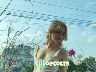 Chloecolts