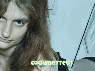 Coquinette01