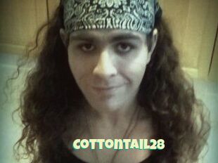 Cottontail28