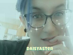 DaisyAster