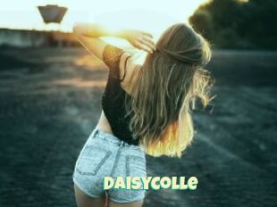 DaisyColle
