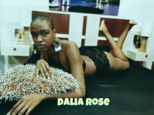 Dalia_Rose