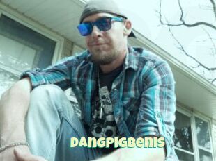 DangPigBenis
