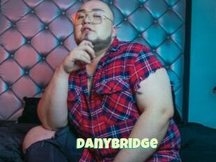 DanyBridge