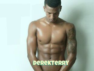 DerekTerry