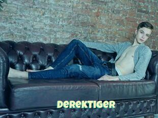 DerekTiger
