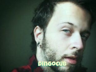 DingoCub
