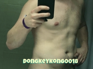 Dongkeykong0018