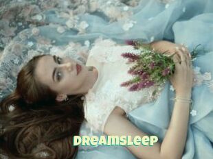 DreamSleep