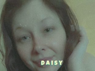 D_a_i_s_y