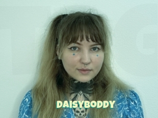 Daisyboddy