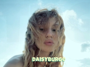 Daisyburge