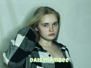Daisygambee