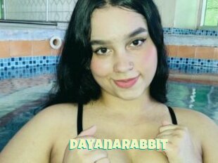 Dayanarabbit