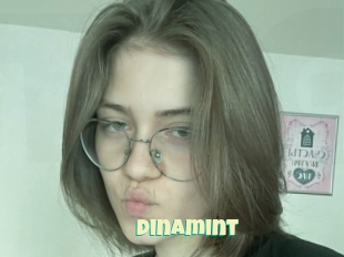 Dinamint