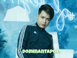 Dominantapolo