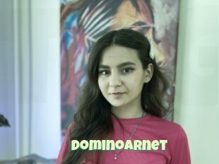 Dominoarnet