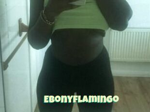 Ebony_flamingo