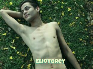 Eliotgrey