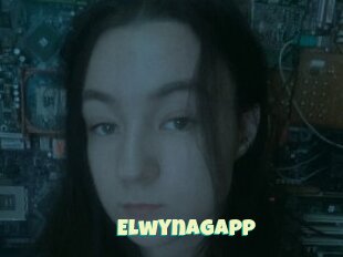 Elwynagapp