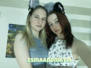Esmaandmatia