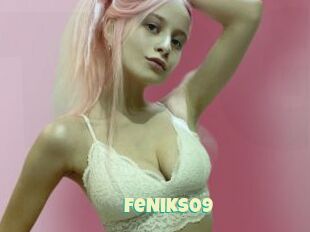 FeNiKs09