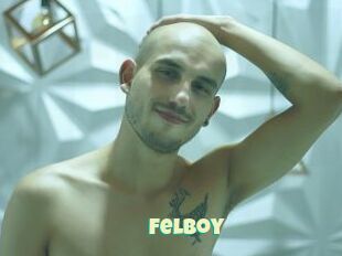 Felboy