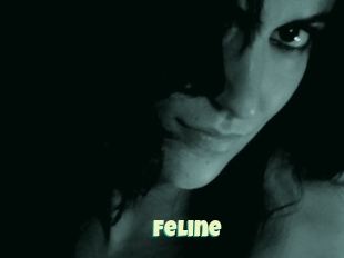 Feline