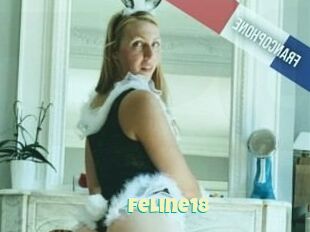 Feline18