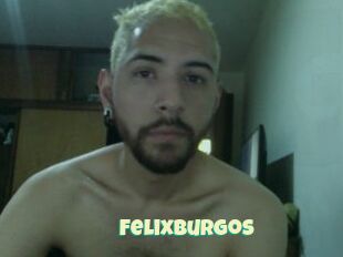FelixBurgos