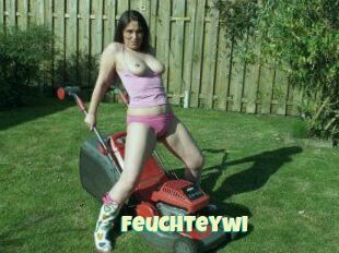 Feuchteywi
