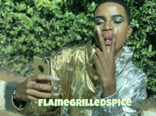 FlameGrilledSpice