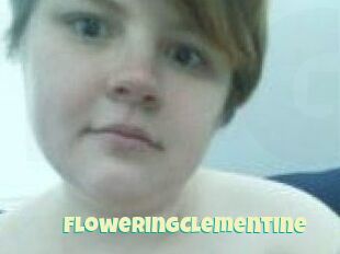 FloweringClementine