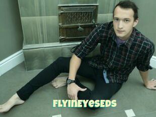 FlyInEyesEds
