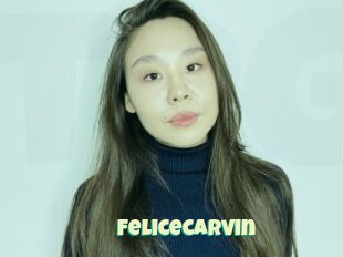 Felicecarvin
